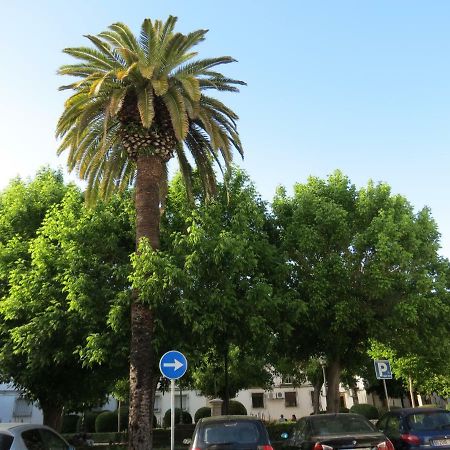 Patios De San Pedro Διαμέρισμα Κόρδοβα Εξωτερικό φωτογραφία