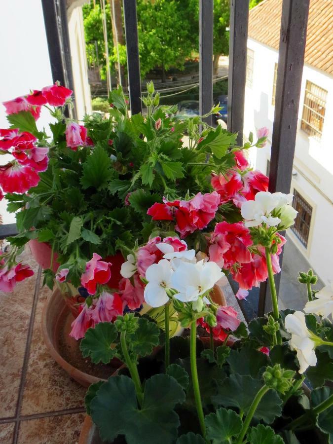 Patios De San Pedro Διαμέρισμα Κόρδοβα Εξωτερικό φωτογραφία