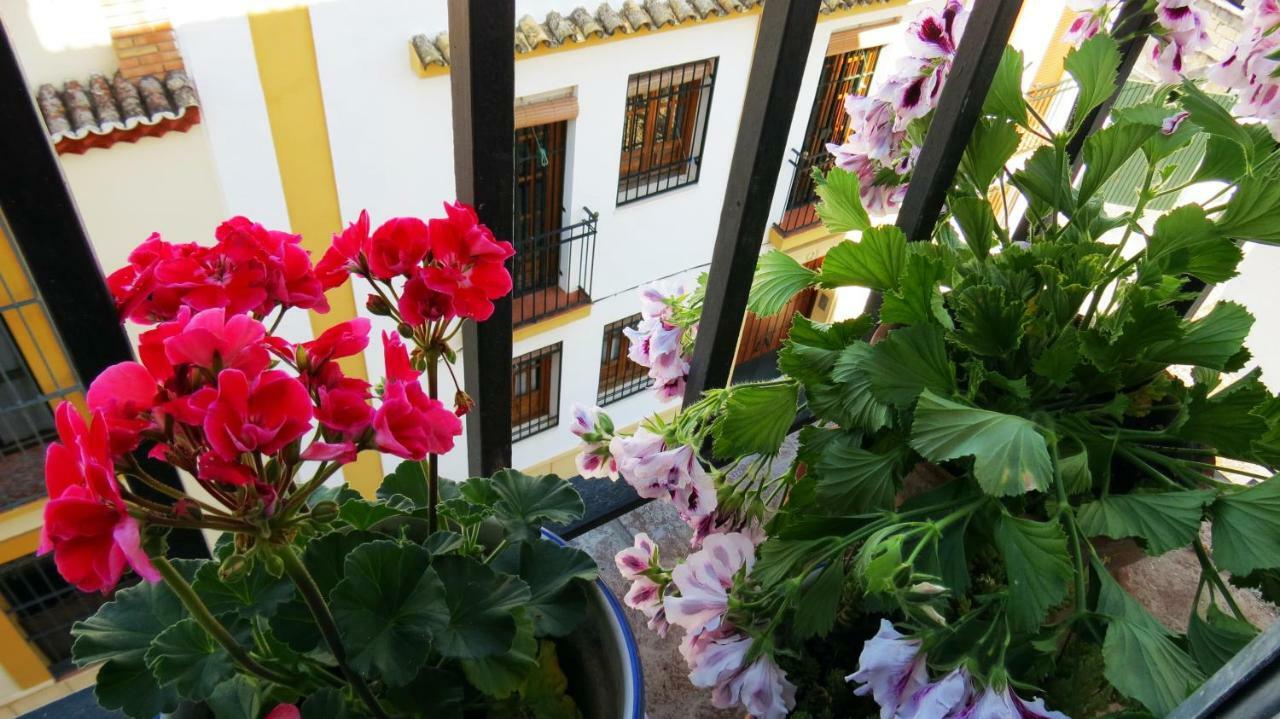 Patios De San Pedro Διαμέρισμα Κόρδοβα Εξωτερικό φωτογραφία